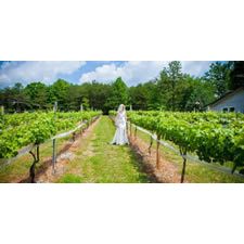 Logo for Sharp Mountain Vineyards Logo for Sharp Mountain Vineyards