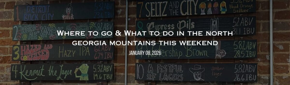 Where to go & what to do in North Georgia this weekend! 