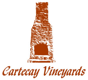 cartecay-vineyard