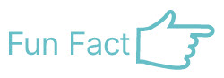 fun-fact