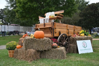 Georgia Marble Festival 2025 | Fall Wagon