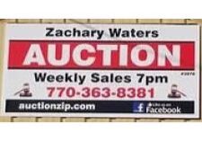 zachary-waters-auction